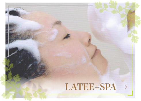 LATEE+SPA